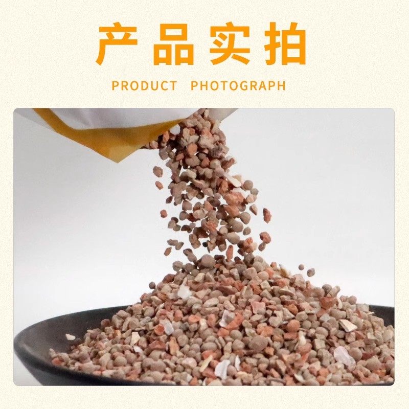 汉诺威鸽子专用保健砂高钙营养砂赛信鸽用保健砂颗粒饲料鸽子食粮,淘宝优惠券,粉丝福利购,淘宝优惠卷