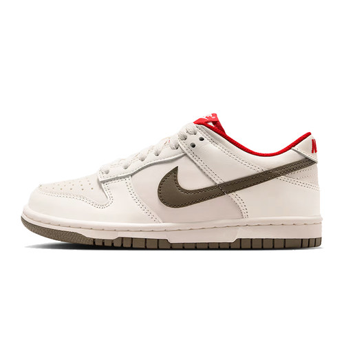 劲浪体育nike耐克大童鞋DUNK运动鞋休闲鞋IQ9793-020 - 图3