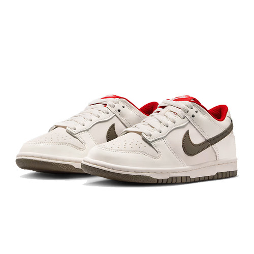劲浪体育nike耐克大童鞋DUNK运动鞋休闲鞋IQ9793-020 - 图1