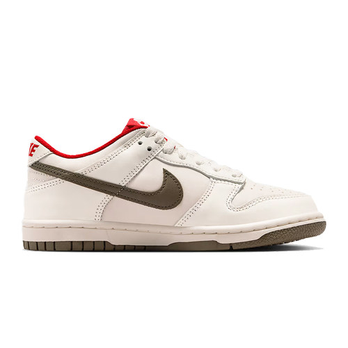 劲浪体育nike耐克大童鞋DUNK运动鞋休闲鞋IQ9793-020 - 图2