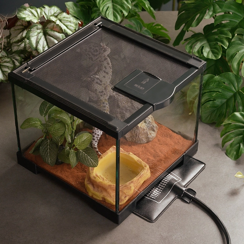 宠物温控加热垫爬宠爬虫饲养箱守宫蜥蜴蛇角蛙盒仓鼠加温保温设备,淘宝优惠券,粉丝福利购,淘宝优惠卷