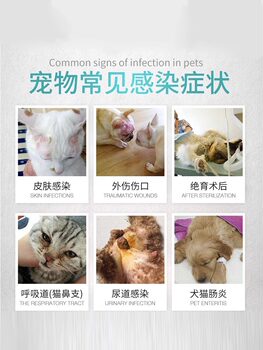 Hanwei pet Shimobixin amoxicillin ຕ້ານການອັກເສບ cat cold dog cough pet medicine cat nasal congestion