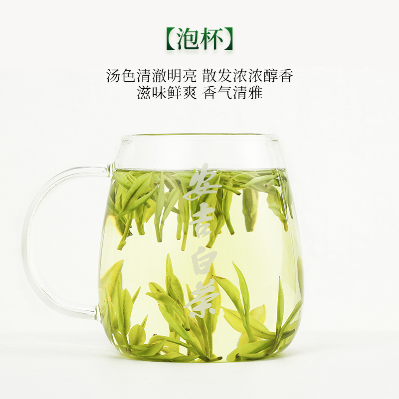 现货安吉白茶叶2023年新茶明前精品250g礼盒装特级正宗高山绿茶叶