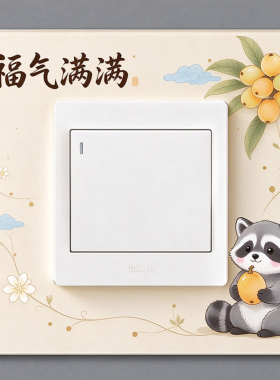 古典风亚克力开关贴墙面遮挡