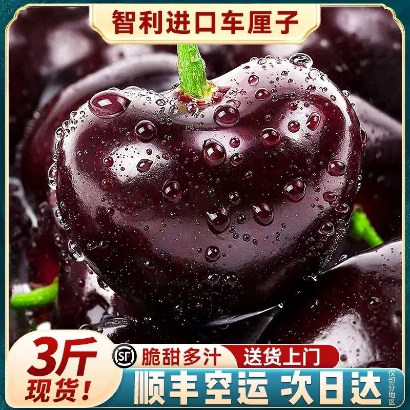 3斤现货桑提娜智利进口车厘子特大4j5新鲜孕妇樱桃水果桑缇娜樱桃,淘宝优惠券,粉丝福利购,淘宝优惠卷