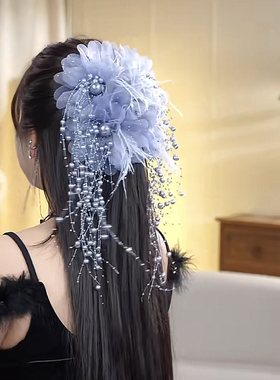 高级感抓夹绢纱显发量发夹百搭