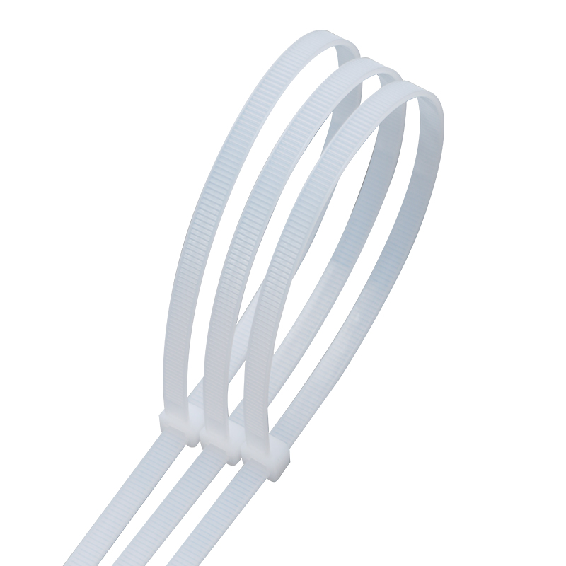 百威狮尼龙塑料扎带卡扣强力束线带电线捆绑带固定器自锁式扎线带,淘宝优惠券,粉丝福利购,淘宝优惠卷