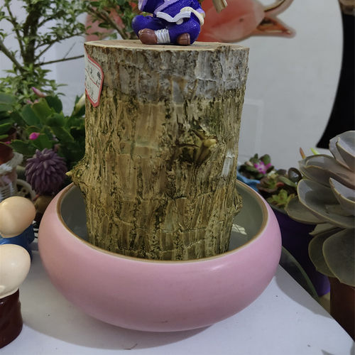 巨大型巴西木水培水养室内桌面植物幸运鲁特花卉开花15厘米高网红 - 图2