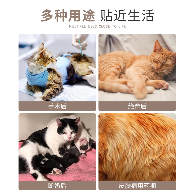 猫咪绝育服母猫衣服透气戒奶服断奶服公猫术后防舔宠物猫猫手术服 - 图2