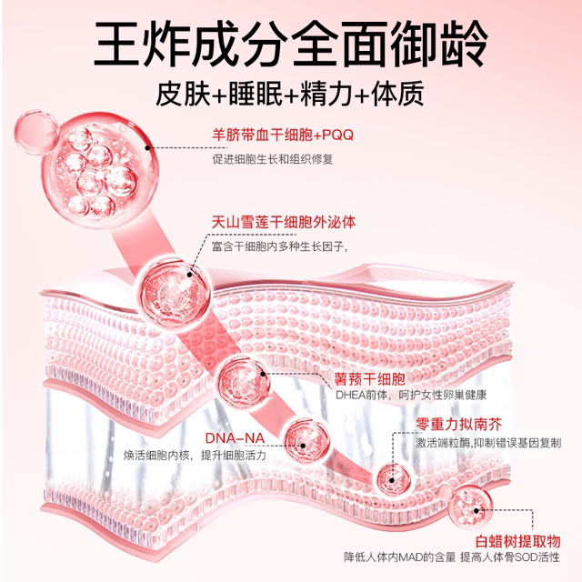 Biowell超时空PQQ细胞线粒体复合氨基酸深层修复外泌体口服饮