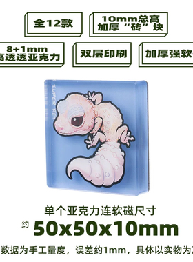 加厚冰箱贴 豹纹守宫主题 亚克力材质磁吸 Q版 卡通爬宠动物周边