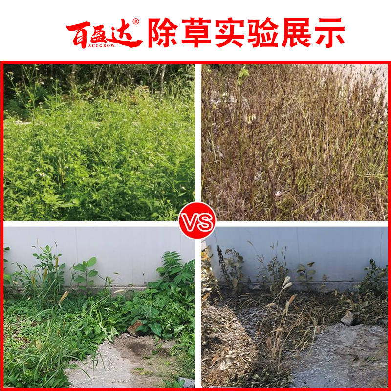 41%草甘膦异丙胺盐 草甘磷除草烂根剂 灭杀草剂 草坪除草正品旗舰