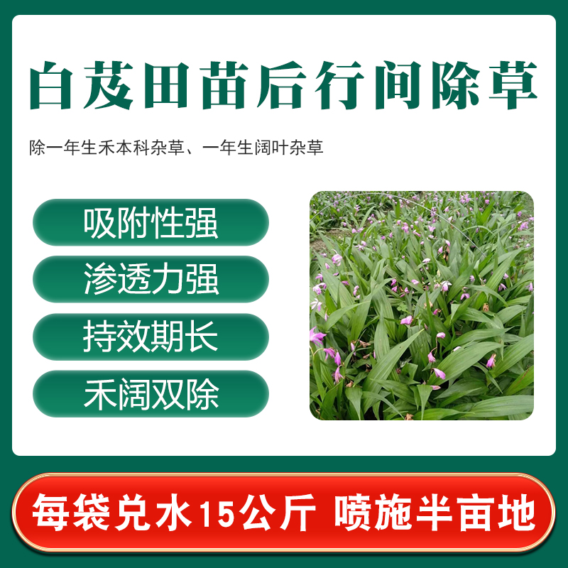 白芨专用除草 除草烂根剂正品一扫光 石斛地苗后除草剂套装禾阔双