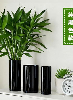 防摔大号龟背竹花瓶高款超高超大水培器皿落地特大号塑料仿玻璃