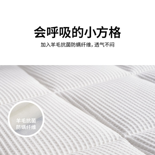 蓝盒子小蓝垫T2Pro记忆棉床垫薄垫家用软垫酒店专用宿舍榻榻米垫 - 图2