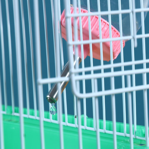 防漏饮水器兔子龙猫豚鼠大小号水壶双滚珠水樽弹簧固定饮水器 - 图0