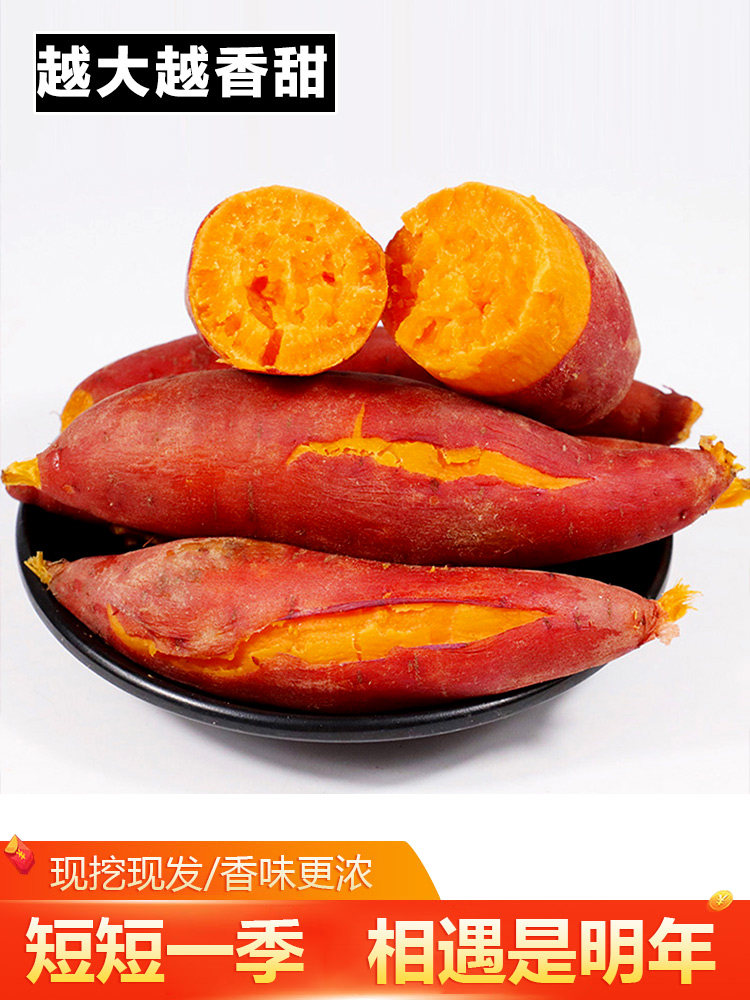 蜜薯糖心现挖新鲜9斤西瓜红味山芋 果麦颂番薯