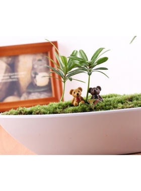 小熊微景观可爱风diy组装摆件