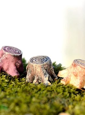 创意苔藓微景观摄影道具工艺摆件