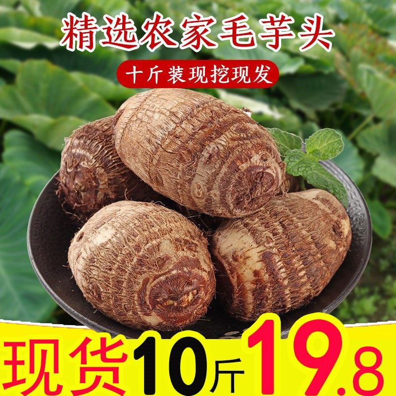 山东牛奶芋头新鲜现挖小毛软糯香滑农产品芋艿荔浦芋子竽头香芋