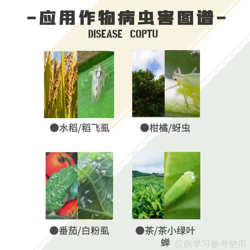 百农思达 瑞卡22%噻虫高氯氟 噻虫嗪 攻夫菊酯小绿叶蝉农药杀虫剂 - 图2