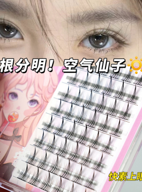 睫天使空气仙子细梗空气单簇