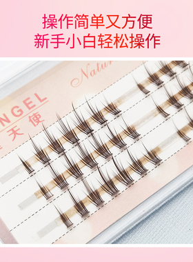 睫天使焦糖色蒲公英款分段睫毛