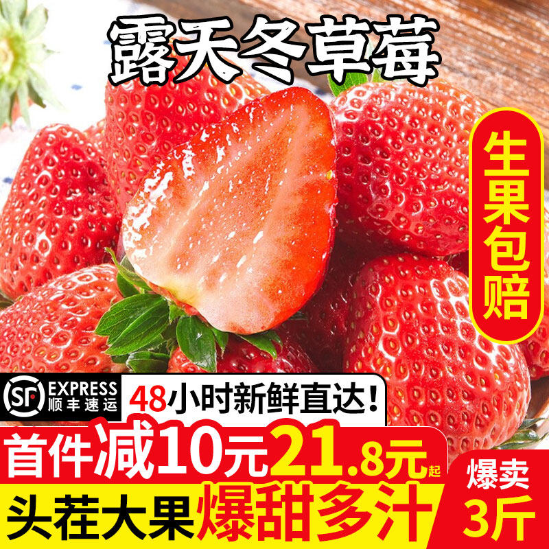 四川大凉山当季牛奶草莓中大果现摘新鲜水果奶油红颜孕妇整箱包邮