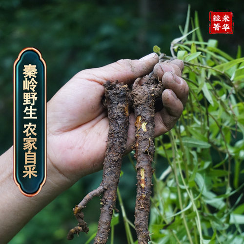 秦岭野生黄芩老枯芩黄芩片中药材黄芩无硫野生黄芩包邮 - 图2