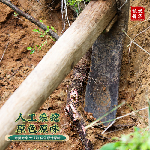 秦岭野生枣树根中药材枣树根枣树皮野枣根酸枣根野生枣树皮老树根 - 图1