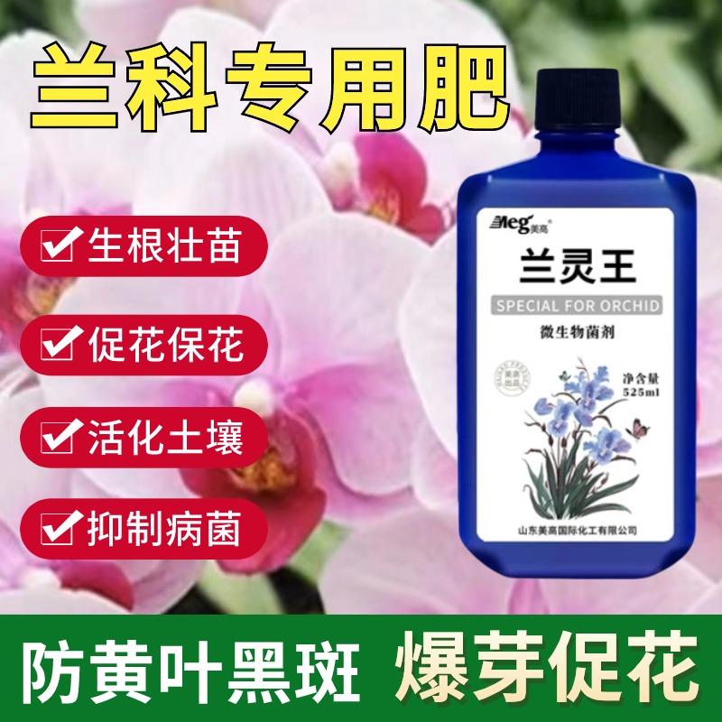 兰灵王兰花专用营养液肥料EM菌蝴蝶兰君子兰墨兰灵王肥料促花抗病 - 图0