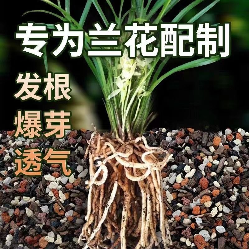 高配兰花专用土营养土植料蝴蝶兰高端养兰花植土君子兰精品兰花土-图0