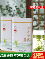 Yu Wufu Anji Baitea 2023 New tea Ming Former special class boutique rare green tea 250g Zhengzong Gift Box Loaded Tea