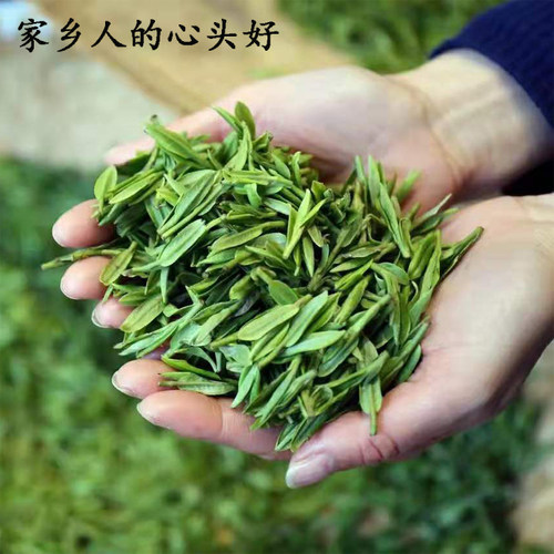 2026新茶绿茶湖北十堰竹溪茶叶新茶迎春茶炒青清香型砂茶叶250g - 图2