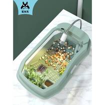 Turtle cylinder delivered 2 small turtles living Brazilian tortoises with sundae Tortoise Basin Pet Box Children Presents