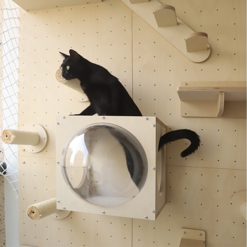 PurrKnave朋内定制实木猫爬架墙壁式阳台洞洞板猫墙太空舱猫跳台,淘宝优惠券,粉丝福利购,淘宝优惠卷