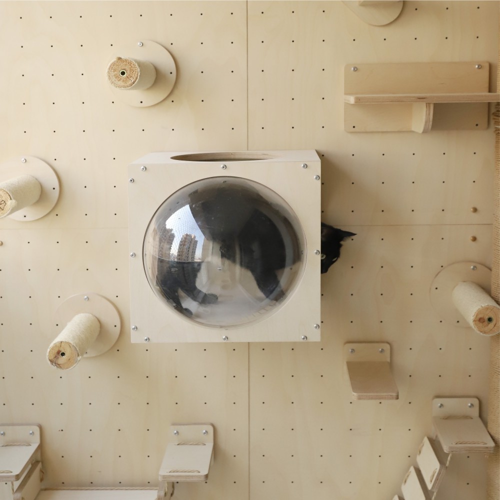 PurrKnave朋内定制实木猫爬架墙壁式阳台洞洞板猫墙太空舱猫跳台,淘宝优惠券,粉丝福利购,淘宝优惠卷