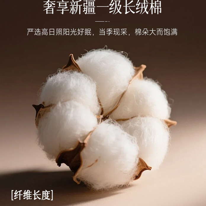 高端长绒棉双层纱提花磨毛四件套100纯棉美拉德黑色全棉被套床单4,淘宝优惠券,粉丝福利购,淘宝优惠卷