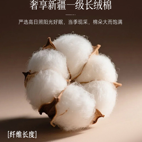 高端长绒棉双层纱提花磨毛四件套100纯棉美拉德黑色全棉被套床单4 - 图2