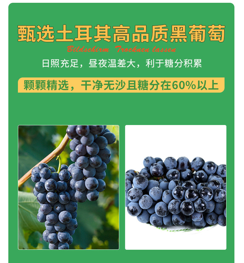 德国进口seeberger思贝格黑葡萄干 思贝格葡萄干