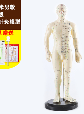 中医针灸穴位图人体模型50cm男女全身十二经络小皮人针灸穴位模型