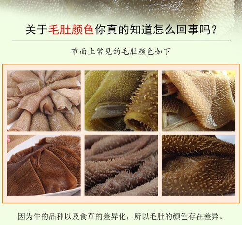 带底板毛肚5斤装新鲜食材牛百叶整块冷冻牛肚火锅麻辣烫商用包邮 - 图1
