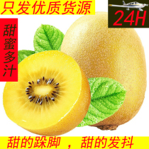 Golden Peach Yellow Heart Chic Exotic Fruits Fresh Off Season Fruits Pregnant Women Golden Fruit Chic Exotic Berry Clay Macaque Peach Whole Box