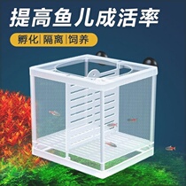 Fish tank Isolated Net Small Fish Box Incubators Breeding Anchovies suspended acrylic spawning house fighting fish separation