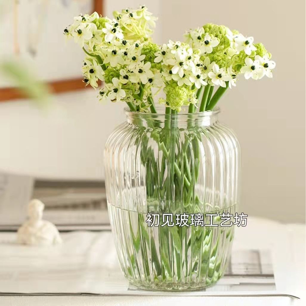 欧式大口鲜花水培桌面玻璃花瓶透明简约干花玫瑰插花客厅创意摆件-图0