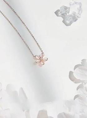 轻奢小雏菊玫瑰金锁骨链女款