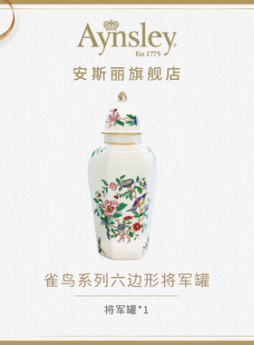 Aynsley骨瓷六边形将军罐花瓶