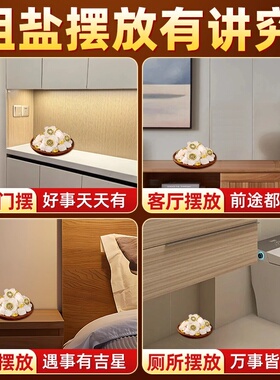 粗盐搬家结婚乔迁新居厕所净化消磁场摆件净宅大颗粒海盐