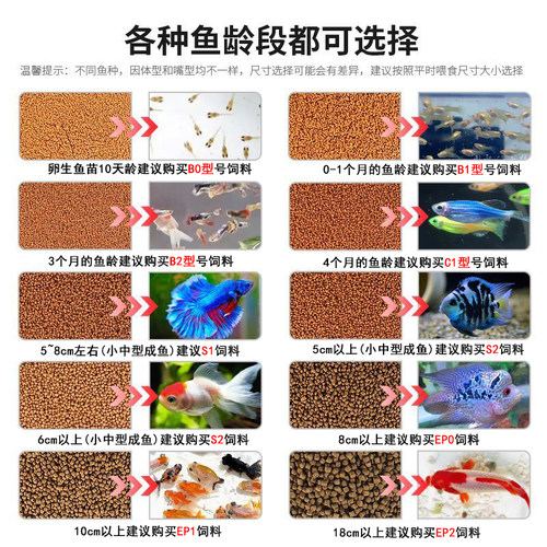 日清招财鱼饲料慈鲷灯鱼热带幼鱼苗斗鱼孔雀鱼通用小颗粒鱼食B1B2 - 图0