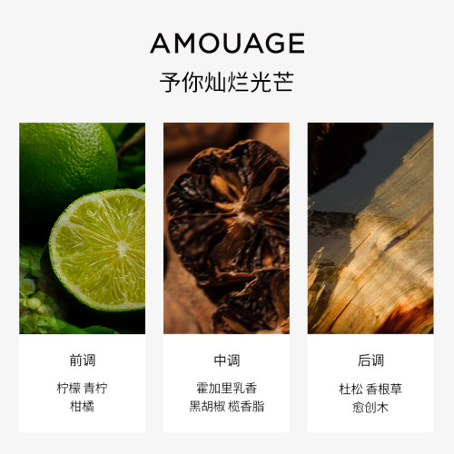 【品牌新香】AMOUAGE香水寻踪觅影淡香精100ml柑橘辛辣木质调-图1